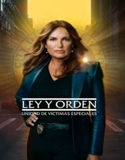 ver Ley y orden: Unidad de Víctimas Especiales - Temporada 25 online