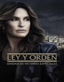 ver Ley y orden: Unidad de Víctimas Especiales - Temporada 26 online