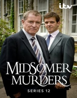 ver Los asesinatos de Midsomer - Temporada 12 online