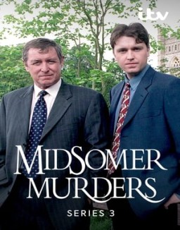 ver Los asesinatos de Midsomer - Temporada 3 online