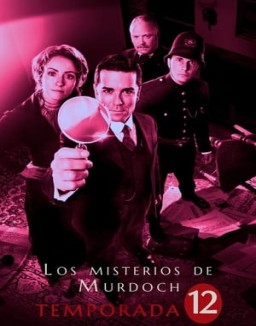ver Los misterios de Murdoch - Temporada 12 online