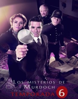 ver Los misterios de Murdoch - Temporada 6 online