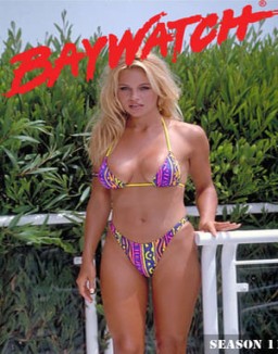 ver Los vigilantes de la playa - Temporada 11 online