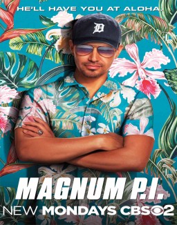 ver Magnum P.I. - Temporada 5 online