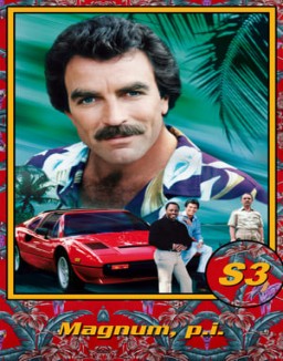 ver Magnum temporada 3 serie gratis
