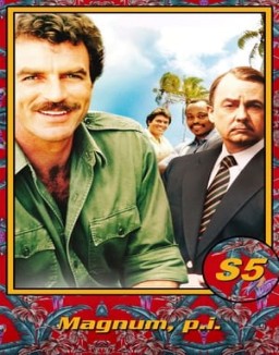ver Magnum temporada 5 serie gratis