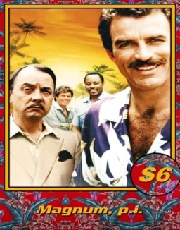 ver Magnum temporada 6 serie gratis