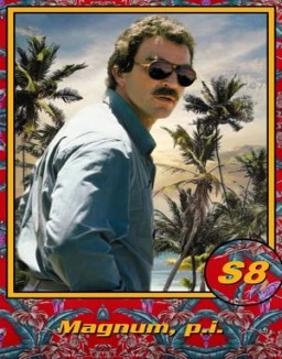 ver Magnum temporada 8 serie gratis