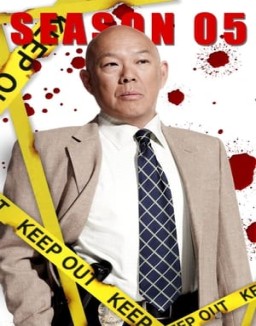 ver Major Crimes - Temporada 5 online