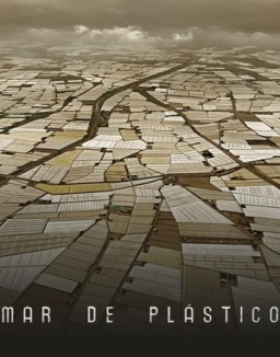 ver Mar de plástico - Temporada 1 online