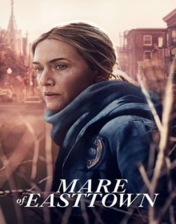 ver Mare of Easttown - Temporada 1 online