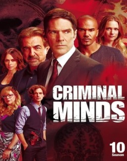 ver Mentes criminales temporada 10 serie gratis