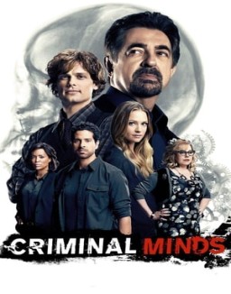 ver Mentes criminales temporada 12 serie gratis