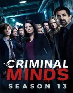 ver Mentes criminales temporada 13 serie gratis