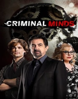 ver Mentes criminales temporada 14 serie gratis
