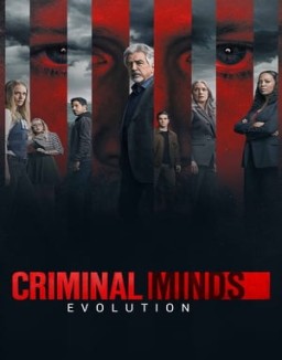 ver Mentes criminales - Temporada 17 online