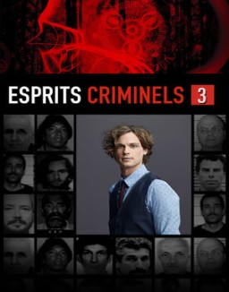 ver Mentes criminales temporada 3 serie gratis