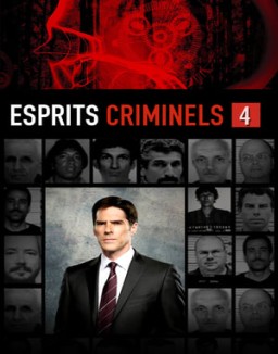 ver Mentes criminales temporada 4 serie gratis