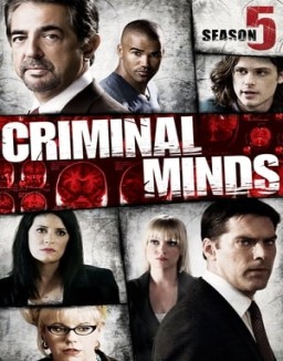 ver Mentes criminales temporada 5 serie gratis
