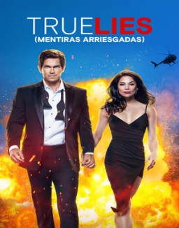 ver Mentiras arriesgadas - Temporada 1 online