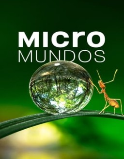 ver Micromundos - Temporada 1 online
