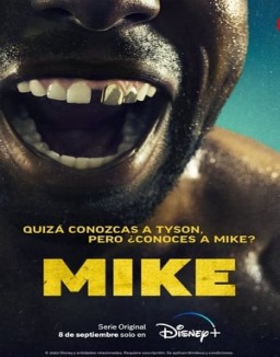 ver Mike - Temporada 1 online