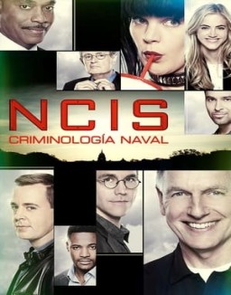ver Navy: Investigación criminal - Temporada 1 online