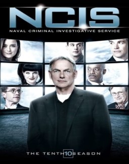 ver Navy: Investigación criminal - Temporada 10 online