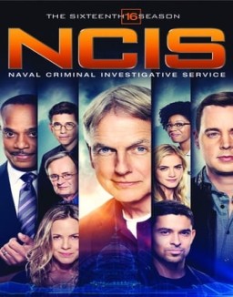 ver Navy: Investigación criminal - Temporada 16 online