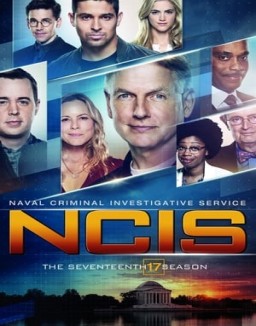 ver Navy: Investigación criminal - Temporada 17 online