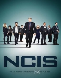 ver Navy: Investigación criminal - Temporada 18 online