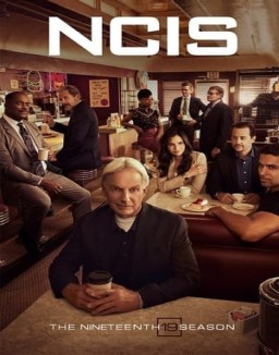 ver Navy: Investigación criminal - Temporada 19 online