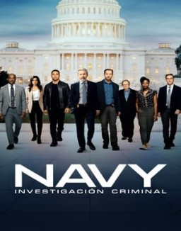 ver Navy: Investigación criminal - Temporada 20 online