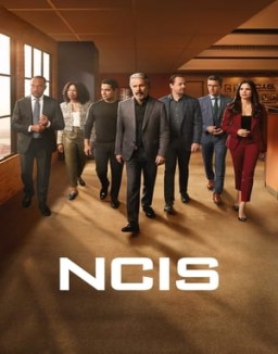 ver Navy: Investigación criminal - Temporada 21 online