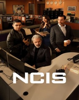 ver Navy: Investigación criminal - Temporada 22 online