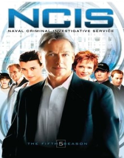 ver Navy: Investigación criminal - Temporada 5 online
