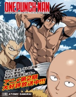 ver One Punch Man - Temporada 2 online