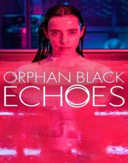 ver Orphan Black: Echoes - Temporada 1 online
