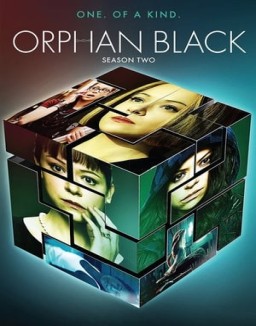 ver Orphan Black - Temporada 2 online