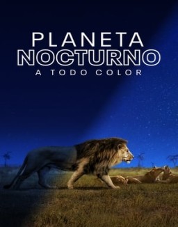 ver Planeta nocturno: a todo color - Temporada 1 online