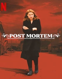 ver Post mortem: Nadie muere en Skarnes - Temporada 1 online