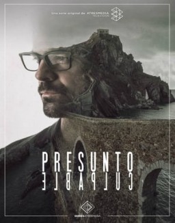 ver Presunto culpable - Temporada 1 online