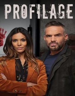 ver Profilage - Temporada 1 online