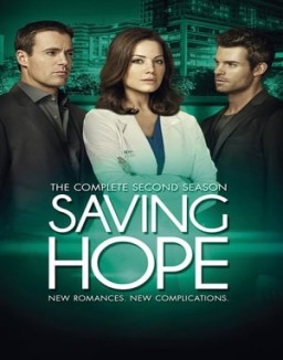 ver Saving Hope temporada 2 serie gratis