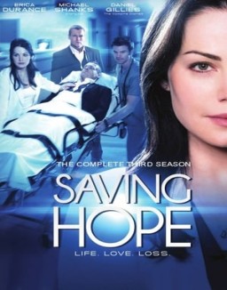 ver Saving Hope - Temporada 3 online