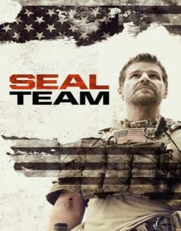 ver SEAL Team - Temporada 3 online