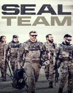 ver SEAL Team - Temporada 4 online