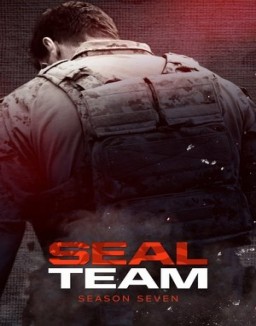 ver SEAL Team - Temporada 7 online