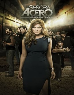 ver Señora Acero - Temporada 1 online