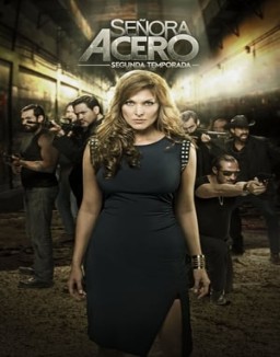 ver Señora Acero - Temporada 2 online